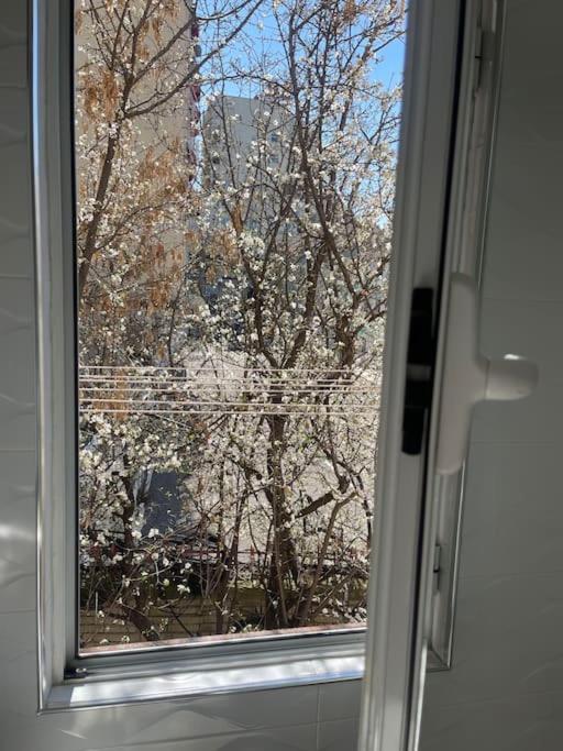 Warm Apartment In The Center Of Tirana City ภายนอก รูปภาพ